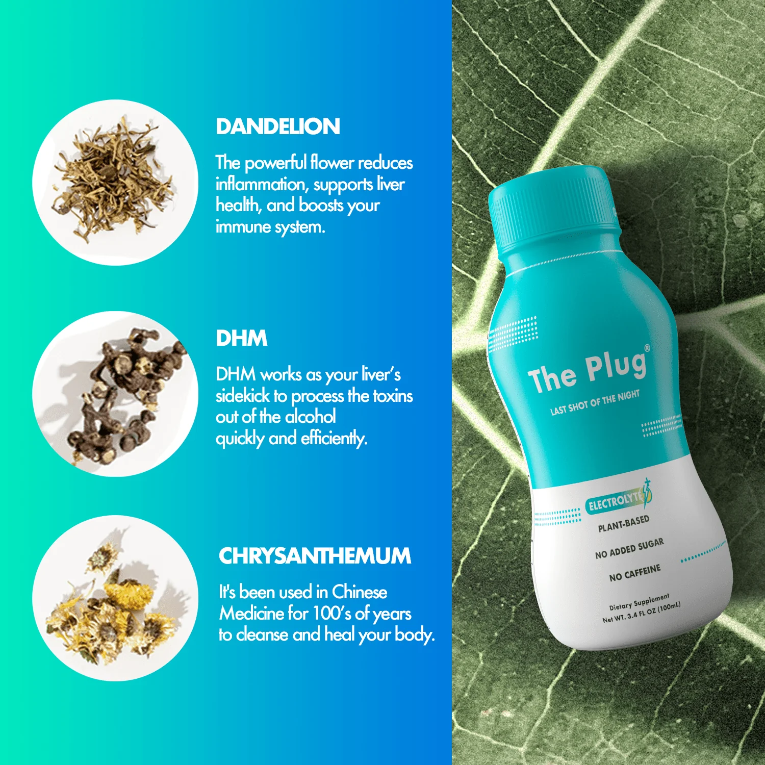 The Plug Drink 6 pack - Image 8